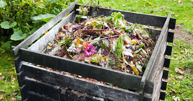 Composting at home with your background compost bin