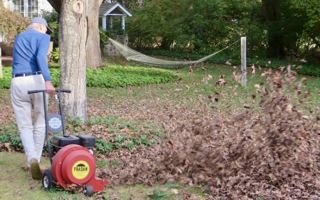 The author Peter Hanson blowing leaves in his back yard with a battery-powered blower