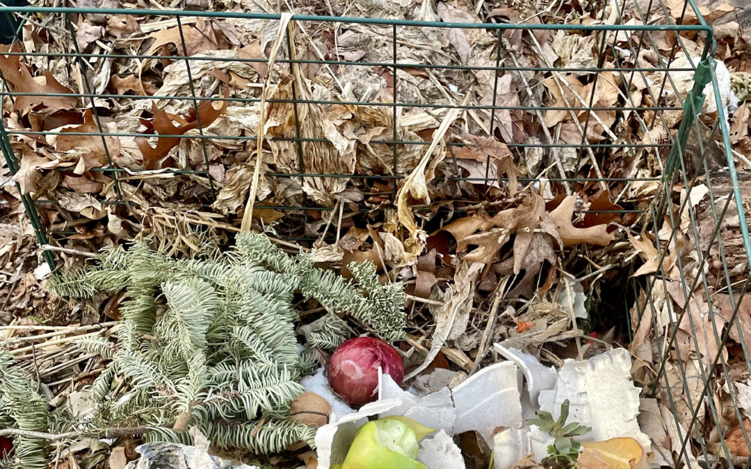 How to compost at home with 2 bins that are a different stages of composting