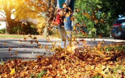 Environmental Issues Today:  What to Do About Gas-Powered Leaf Blowers?