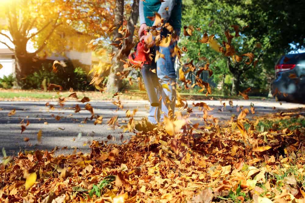 Environmental Issues Today:  What to Do About Gas-Powered Leaf Blowers?