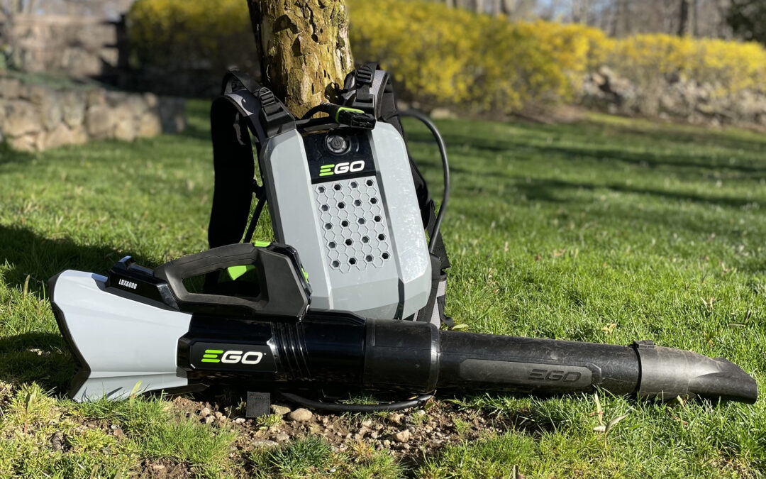 Ways to be sustainable: electric leaf-blowers