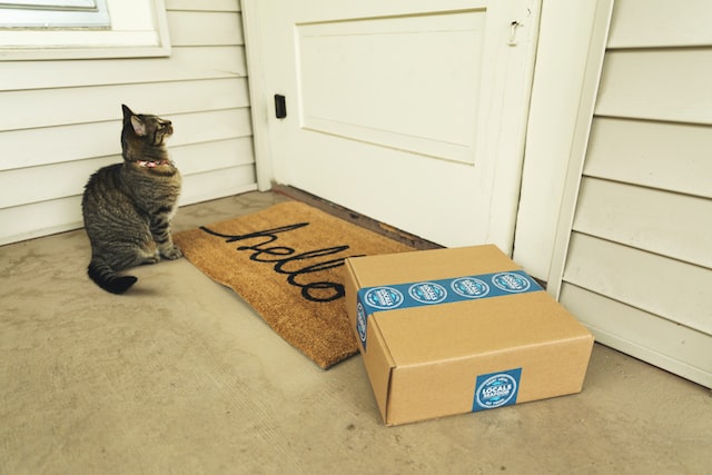 Box and cat at door of house. Better to shop locally.