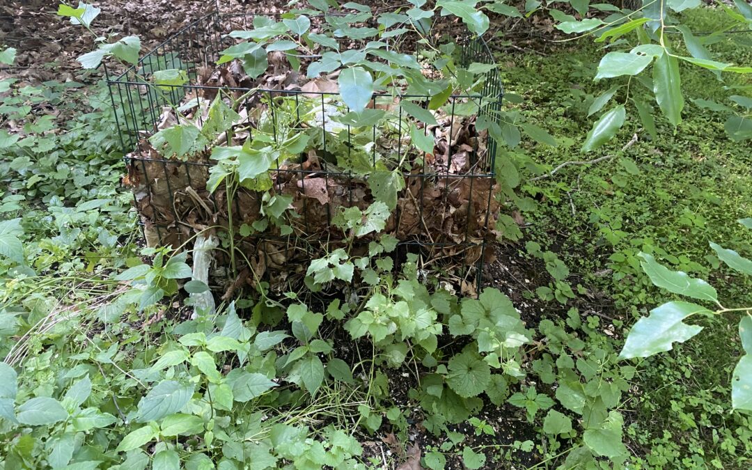 Backyard Composting - the bin outside